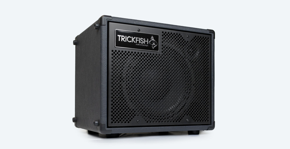 1x10 bass cab