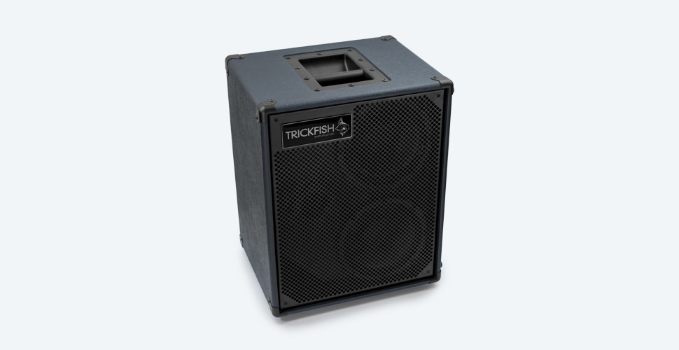 2 x 8 bass cabinet