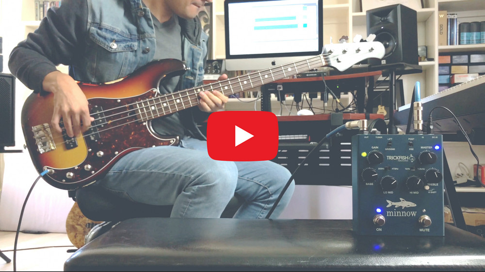 Leslie Johnson MInnow Demo